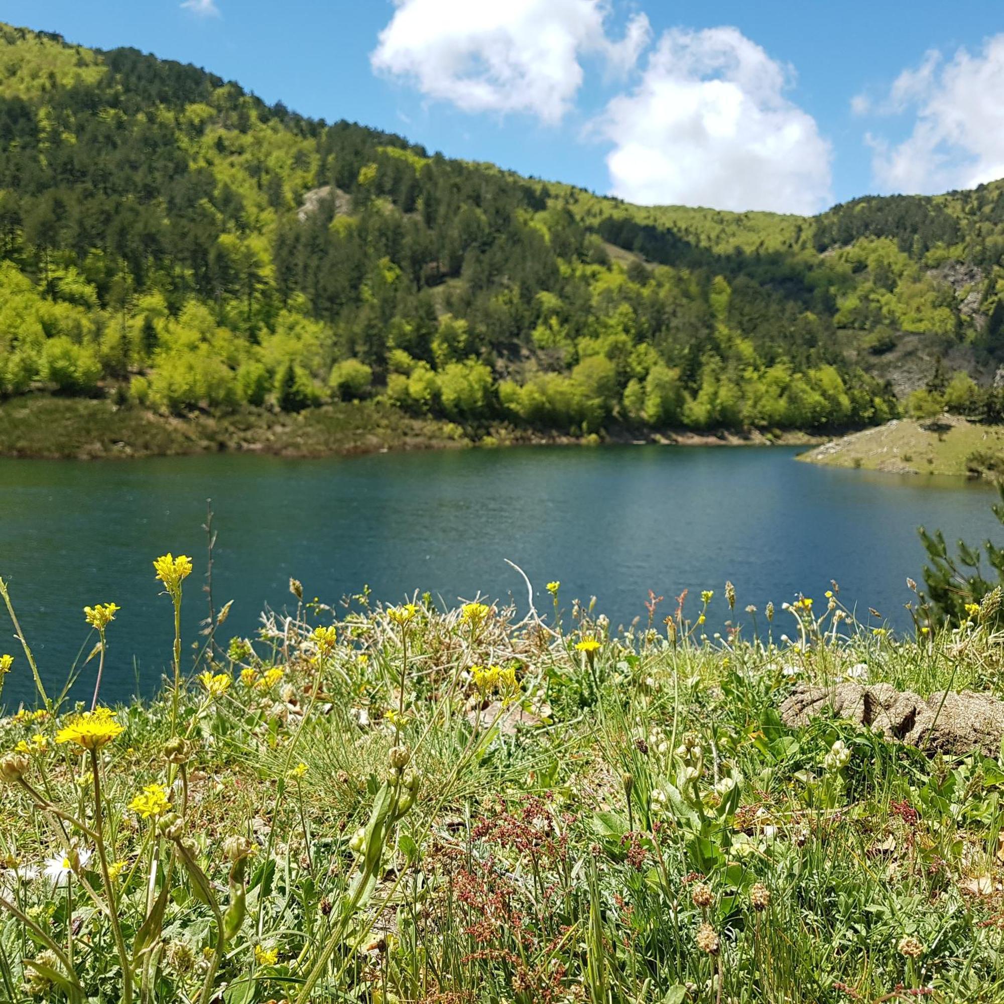 Park Hotel Bellavista Gambarie dʼAspromonte エクステリア 写真