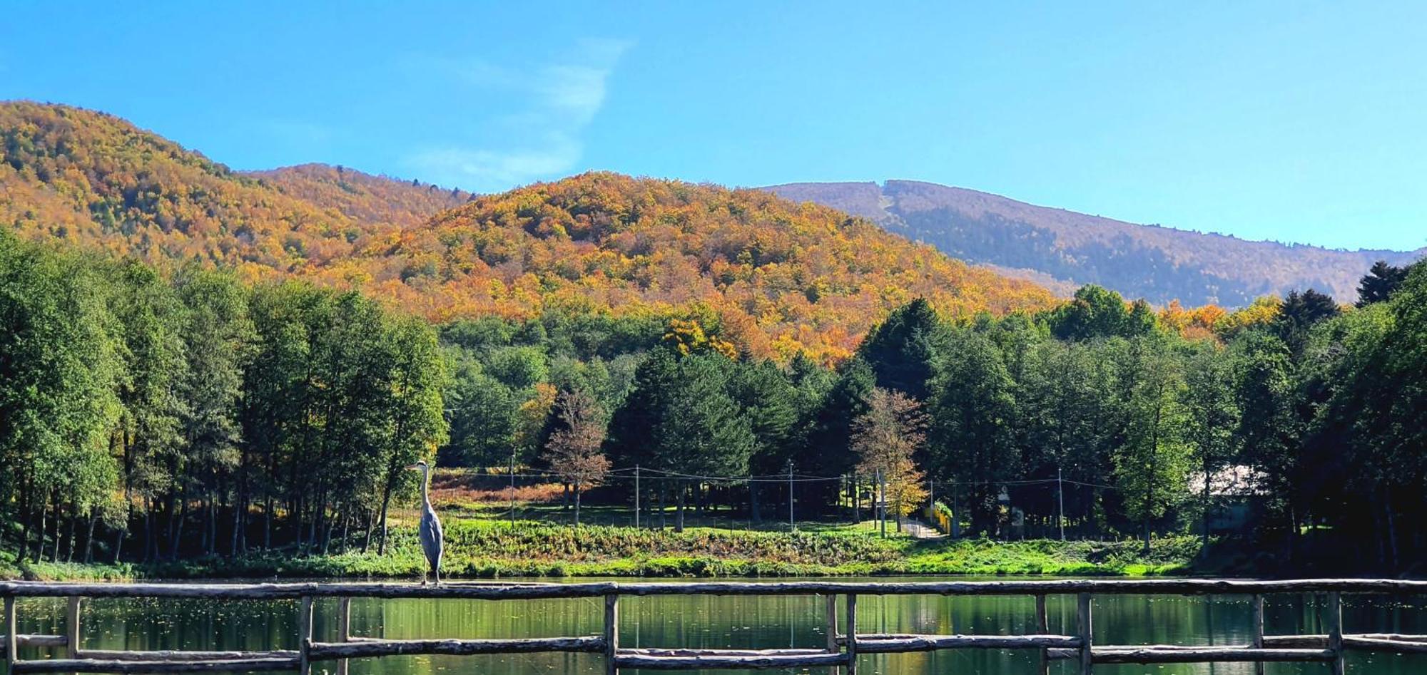 Park Hotel Bellavista Gambarie dʼAspromonte エクステリア 写真