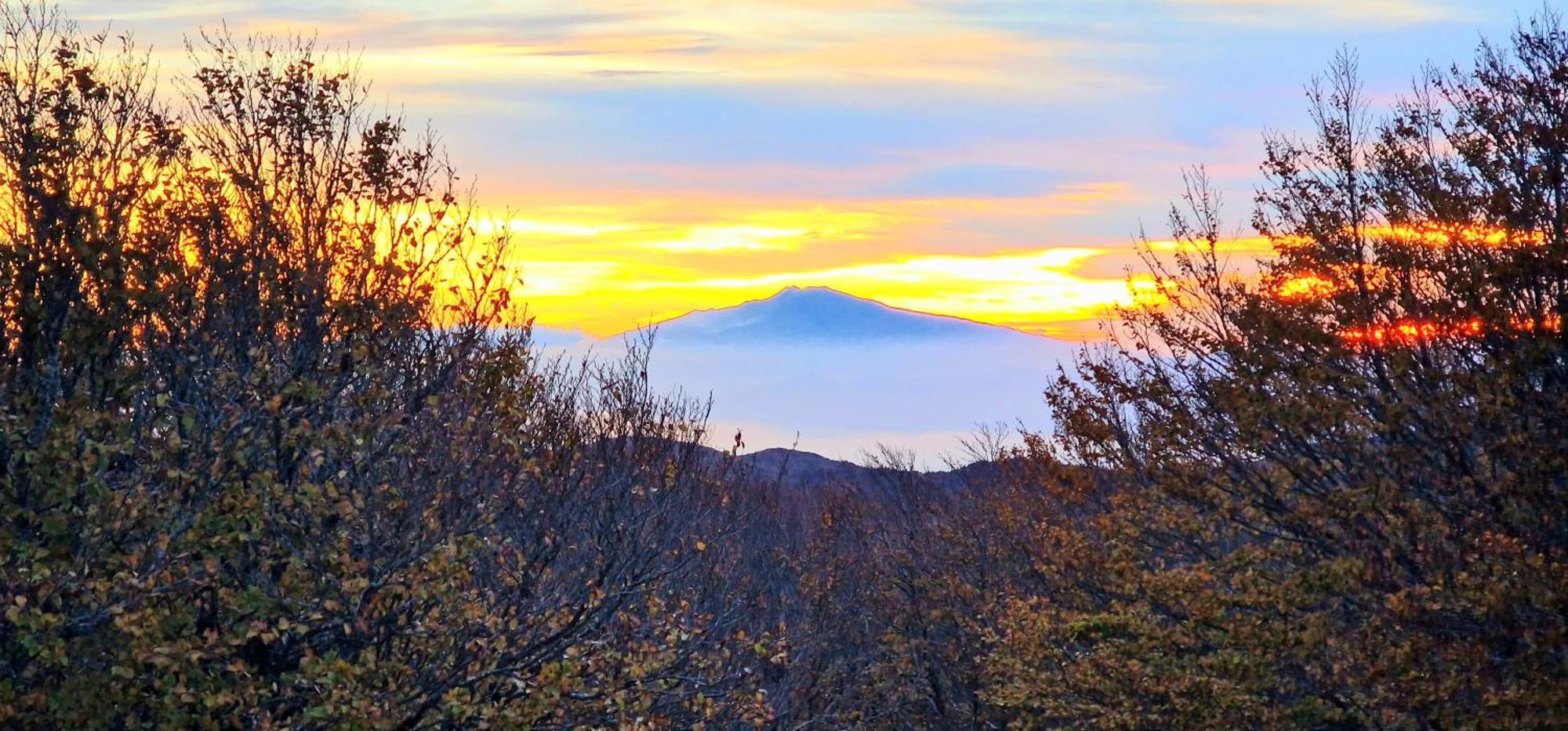 Park Hotel Bellavista Gambarie dʼAspromonte エクステリア 写真