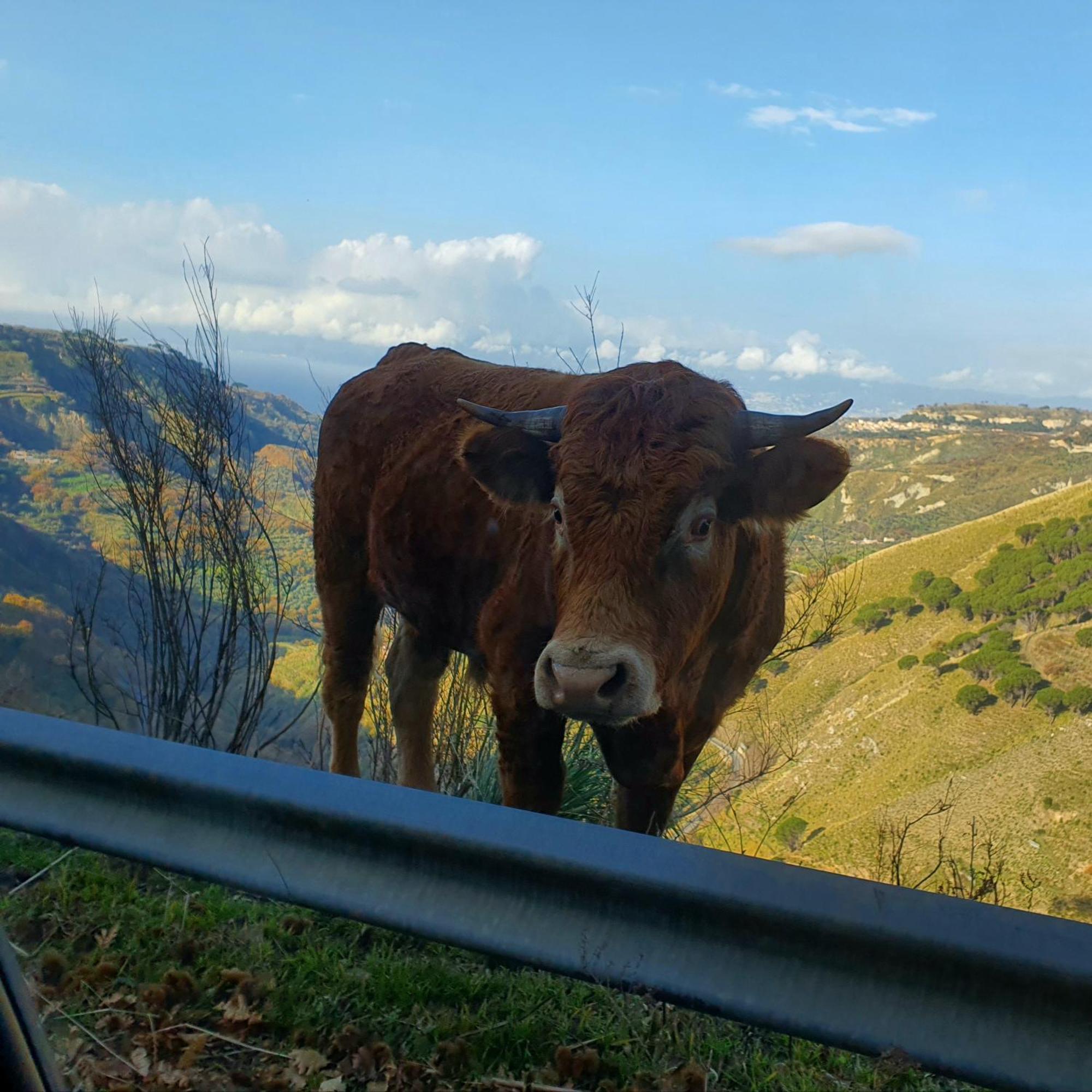 Park Hotel Bellavista Gambarie dʼAspromonte エクステリア 写真